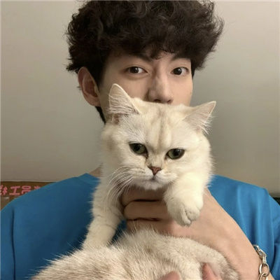 les一般用什么社交软件